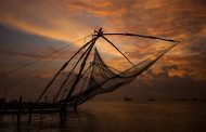 Top Places to Visit in Kerala for Solo Travelers