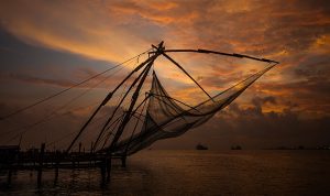 Places to Visit in Kerala