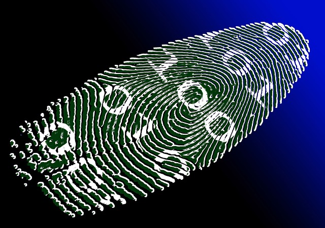 Biometric Identification - USA Media House