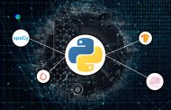 Data Science Start-ups Prefer Running on Python