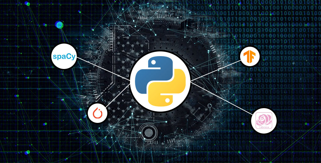 Data Science Start-ups Prefer Running on Python