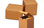 Kraft Boxes: Uses and Important Features