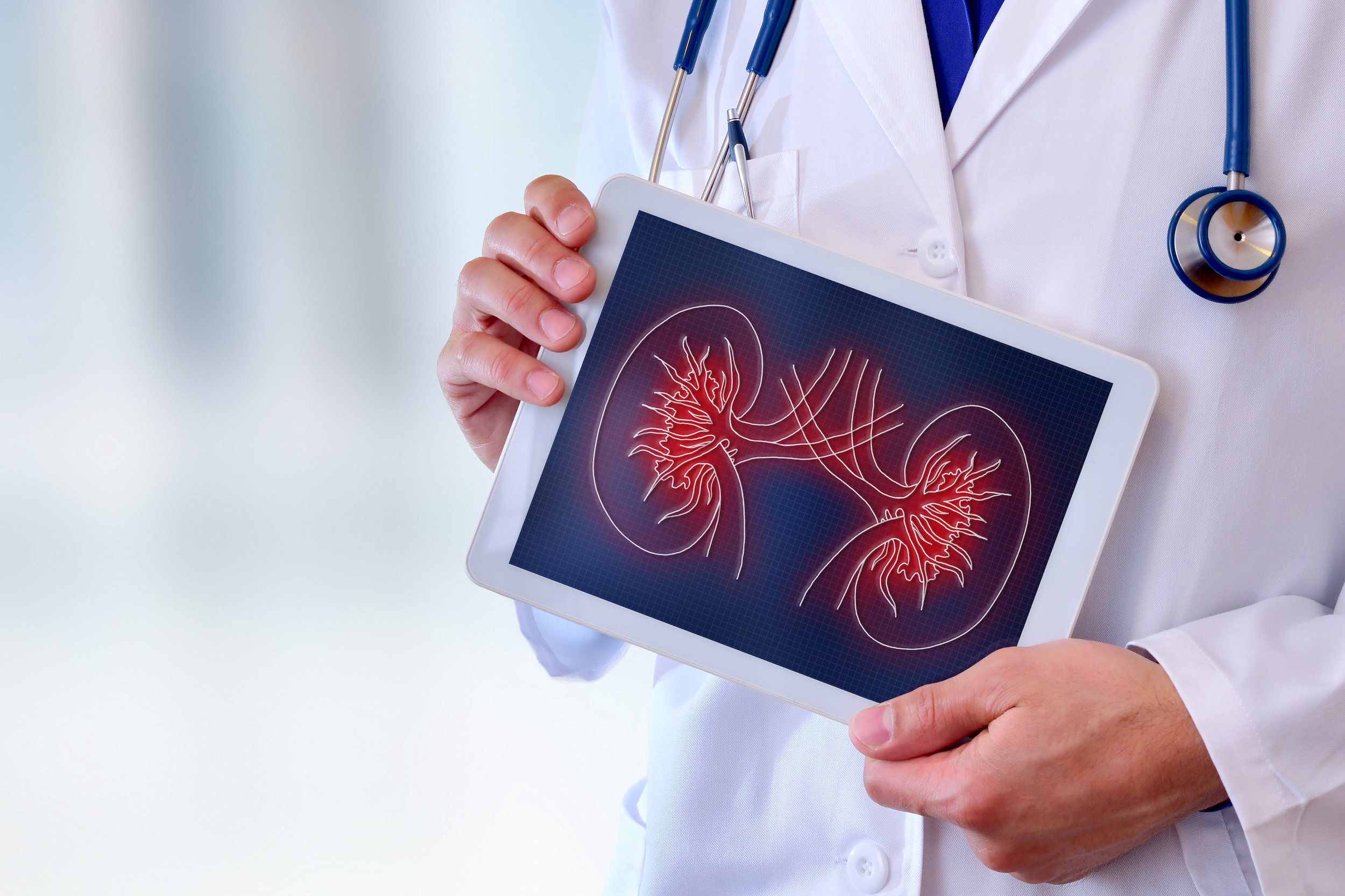 What is the Cost of Cheapest Yet Efficient Kidney Transplant?