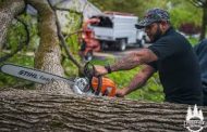 7 BENEFITS OF HIRING PROFESSIONAL TREE SERVICES