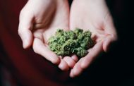 4 Surprising Health Benefits from Smoking Cannabis