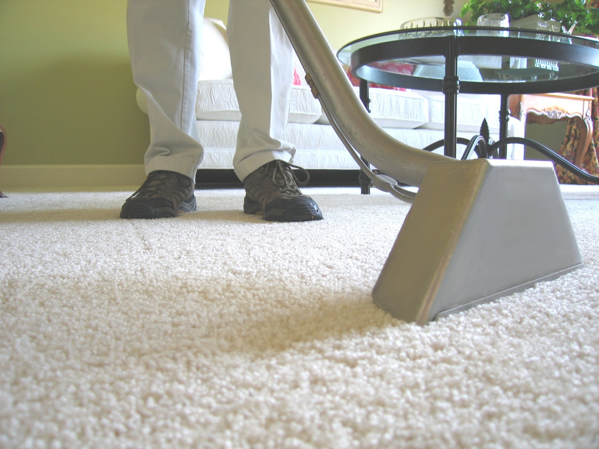 Crucial Reasons to Hire a Carpet Cleaning Service in Atlanta