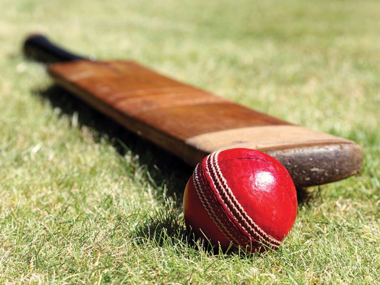 5 Tips For Buying a Cricket Bat