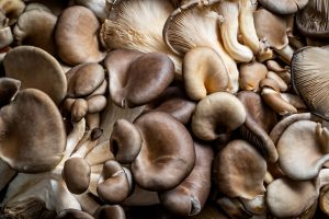 Mushrooms-The Most Wellbeing Recipient Vegetable For Men