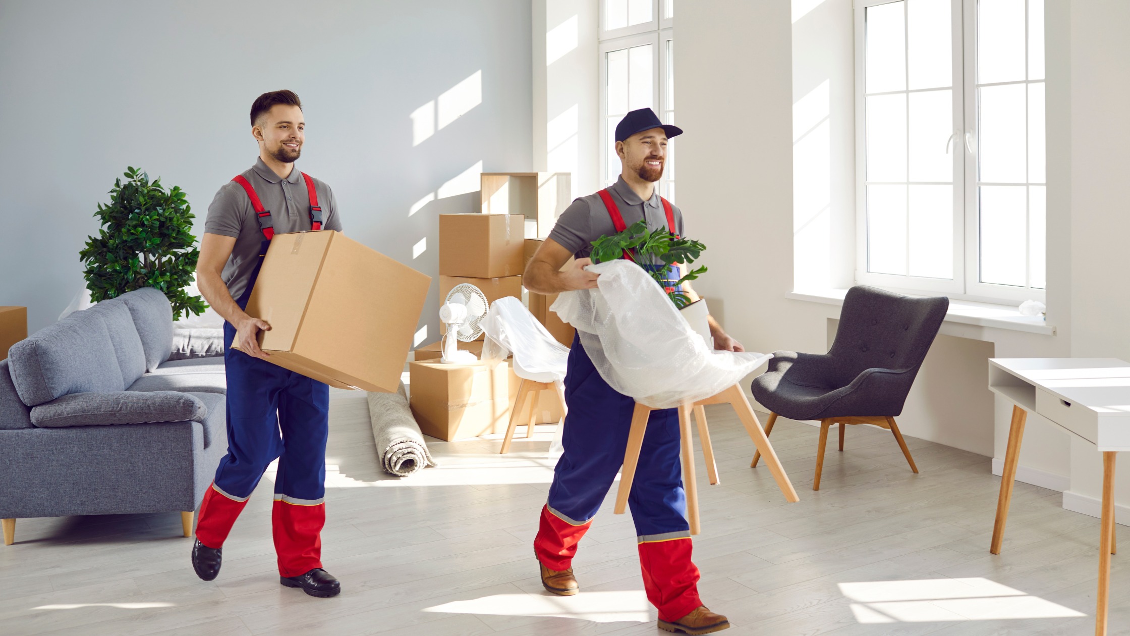 The role of removalists in supporting sustainable and eco-friendly moving practices