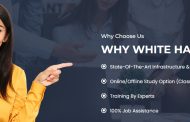 Learn to Write Like a Pro with White Hat Academy’s Content Writing Course
