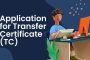 Seamless Farewell: A Practical Guide to Transfer Certificate Applications in Hindi Medium Schools